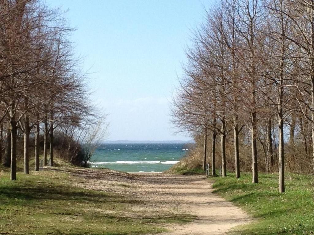 "Sonnenliebe" Ferienhaus Groß Schwansee Buitenkant foto